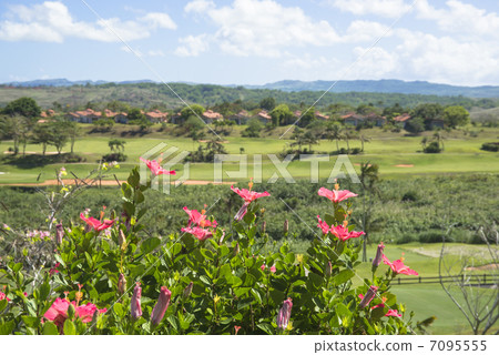 利奧宮殿度假村高爾夫球場在關島 利奧宮殿度假村高爾夫球場在關島 7095555