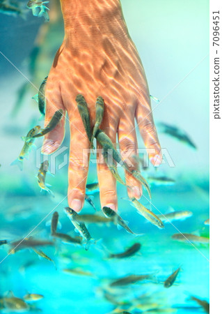 Manicure fish spa Manicure fish spa 7096451