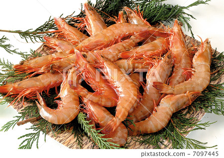 甲殼動物魚貝類蝦老頭蝦食品Fuyuki海鮮新鮮食材 甲殼動物魚貝類蝦老頭蝦食品Fuyuki海鮮新鮮食材 7097445