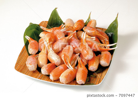 Crustacean fish Shellfish Crab crab crab meat food Fukuoka seafood Fresh ingredients 7097447