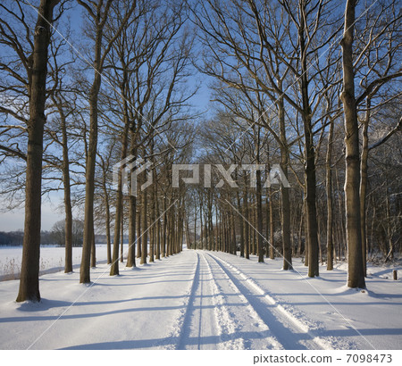 圖庫照片: country road in the snow at groeneveld estate (baarn