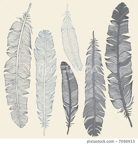 Feather Set Feather Set 7098913