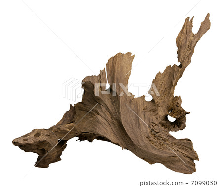 Driftwood for aquarium 7099030