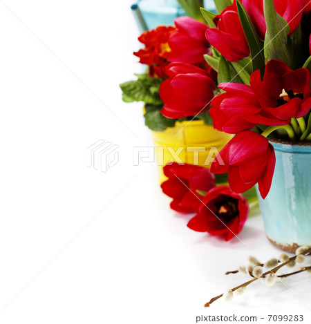 Easter still life Easter still life 7099283