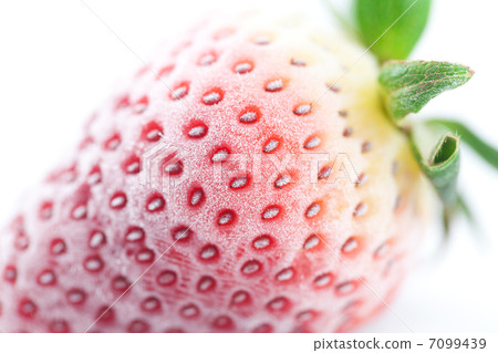 big red strawberry in frost  isolated on white 7099439