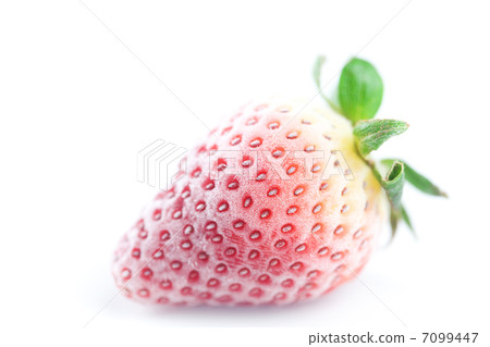 big red strawberry in frost isolated on white big red strawberry in frost isolated on white 7099447