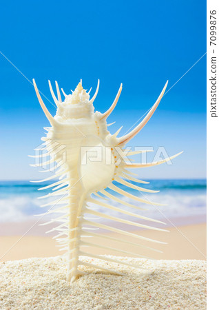 蜜月和大海 7099876