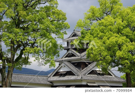 熊本城堡Udo塔和新鮮的綠色 7099984