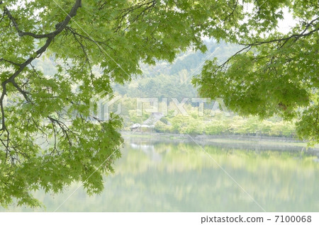 新綠色京都Hirosawa池塘 7100068