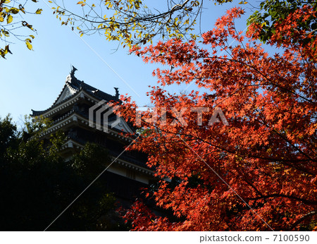 西尾城堡的秋天 7100590