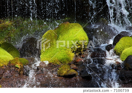 Moss and waterfall 7100739