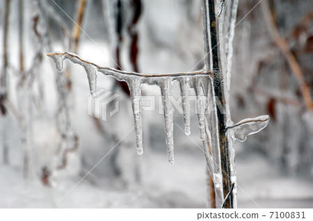 冰柱 7100831
