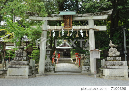 京都三宅八幡宮 7100898