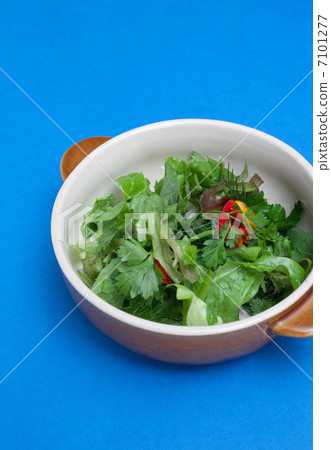 綠色沙拉 7101277