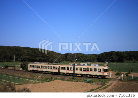 Going cabbage fields Choshi Railway 7101336