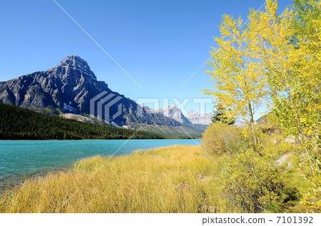 Autumn waterfowl lake 7101392