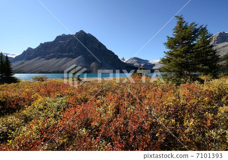 Autumn's Bow Lake 7101393
