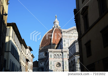 Florence Florence 7101602