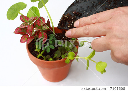 gardening gardening 7101608