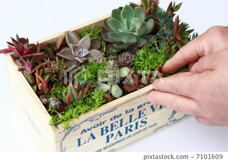 gardening gardening 7101609