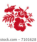 Hibiscus 7101628