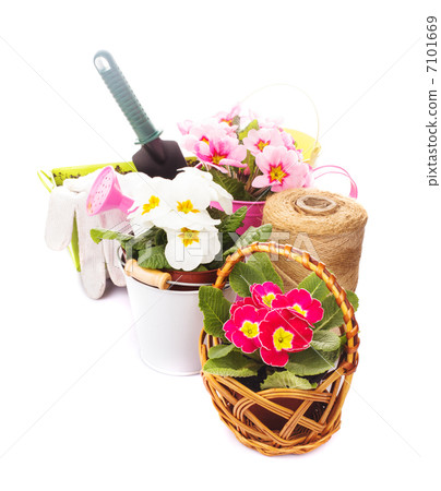 Gardening isolated Gardening isolated 7101669