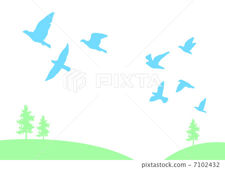 鳥兒起飛 鳥兒起飛 7102432