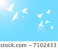 鳥兒起飛 7102433