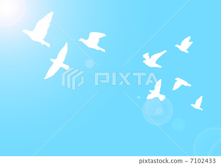 鳥兒起飛 鳥兒起飛 7102433