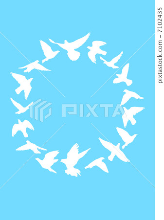 鳥的戒指 鳥的戒指 7102435