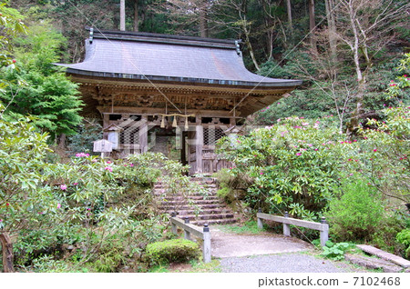 志明研究所 7102468