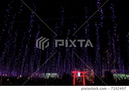 Fuji's illumination 7102497