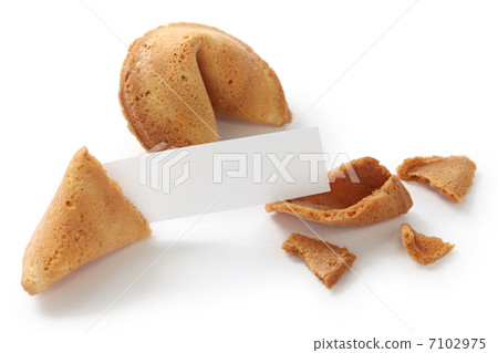 fortune cookie 7102975