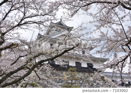 Spring of Nagahama castle Spring of Nagahama castle 7103002