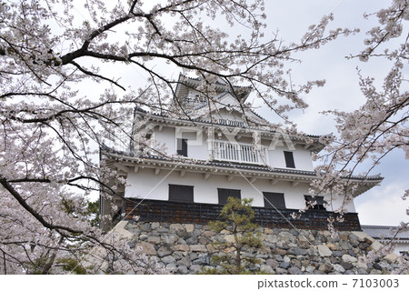 Spring of Nagahama castle Spring of Nagahama castle 7103003