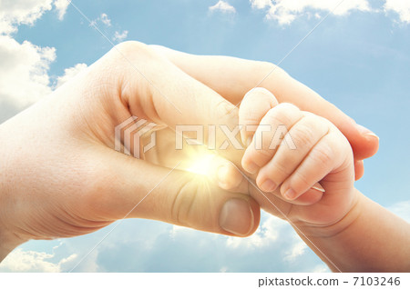 concept of love and family. hands of mother and baby 7103246