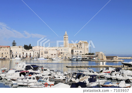 大教堂Trale大教堂大教堂口岸O波爾圖 7103937