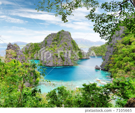 Tropical seashore 7105665