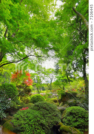 初夏長安寺 7106445