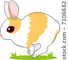 Running child rabbit 7106682