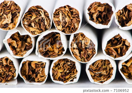 Close up of cigarettes tabacco Close up of cigarettes tabacco 7106952