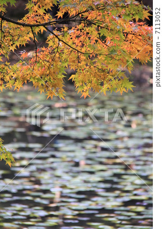 小石川後樂園 7113052