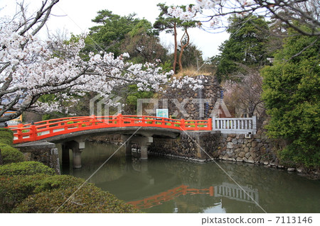 在Kokurakancho的開武田神社Kamihashi和櫻花 在Kokurakancho的開武田神社Kamihashi和櫻花 7113146