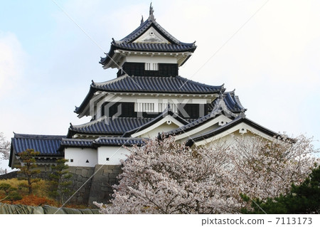 Shirakawa Komine Castle Mie Tower and Sakura at Guochu 7113173