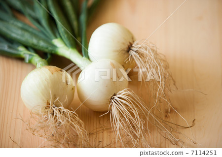 New Onion 7114251