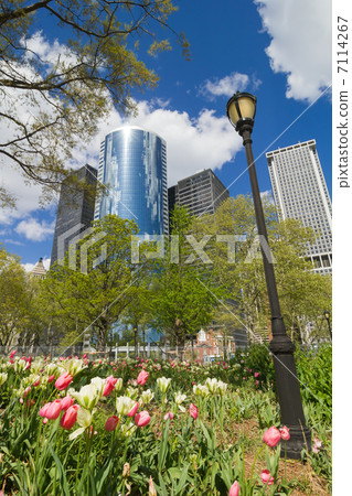 春天的紐約，砲台公園 7114267