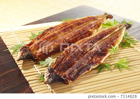 Grilled eels of eel Grilled eels of eel 7114828