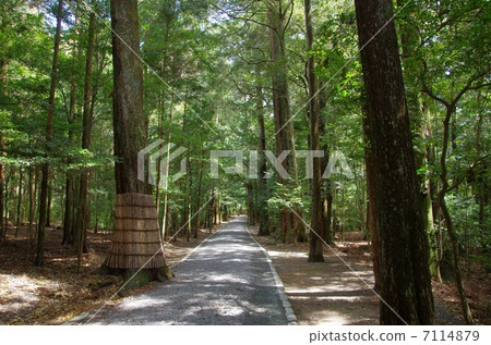 Emperor's Palace Shrine Imperial Palace of Takihara Shrine 7114879