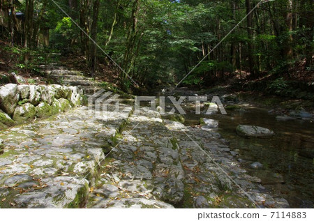 故宮Takihara Mitarai的Miyajinomiya宮殿 故宮Takihara Mitarai的Miyajinomiya宮殿 7114883