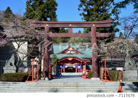 Gokoku shrine of Aoba castle ruins 7115076
